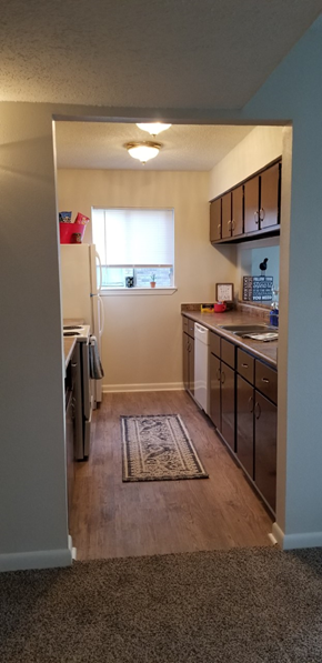 Gautier apartment for rent - an empty kitchen with a sink and a refrigerator
