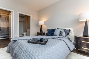 Bala Cynwyd apartment for rent - Gorgeous master bedroom with walk-in closet and private bathroom in Bala Cynwyd apartment for rent