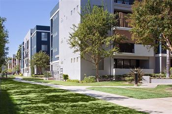 Large dog run space