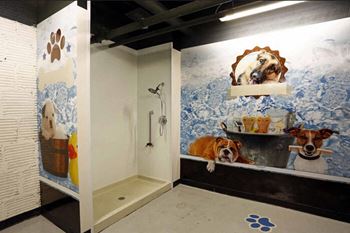 Pet grooming salon