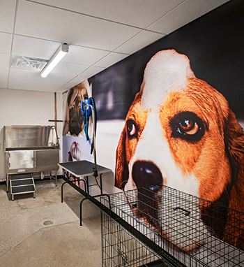 Self service pet grooming salon