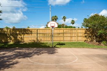Basketball court