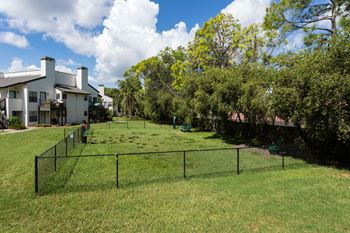 Spacious bark park