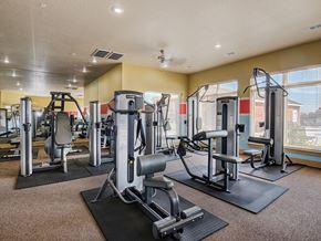 Grandview apartment for rent - the gym at our apartments with weights and cardio equipment