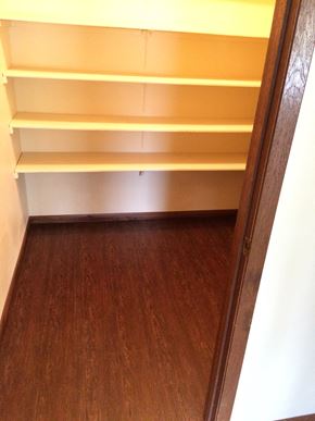 Galena apartment for rent - a walk in closet with shelves and a wooden floor