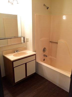 Galena apartment for rent - a bathroom with a sink and a tub and a mirror