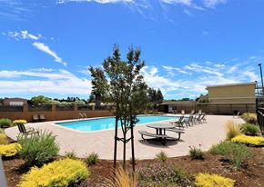 Livermore apartment for rent - Pool with lounge chairs  l Brairwood Apartments in Livermore, CA 