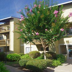 Beautifully manicured courtyards