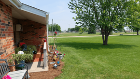 Cuba City apartment for rent - A tree stands in a yard next to a house.
