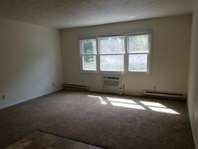 Wataga apartment for rent - the living room of an empty house with a window