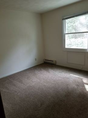 Wataga apartment for rent - an empty room with a window and a carpeted floor