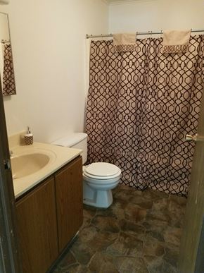 Wataga apartment for rent - a bathroom with a toilet and a sink and a shower curtain