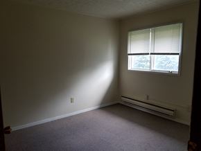 Wataga apartment for rent - an empty room with a window and a carpet