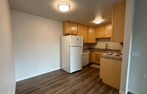 Sauk City apartment for rent - a kitchen with a refrigerator and a stove and wooden cabinets