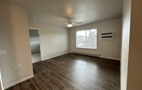 Sauk City apartment for rent - an empty living room with wood floors and a ceiling fan