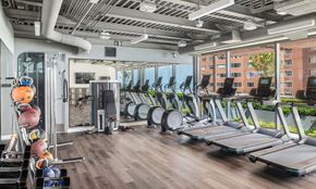 Chicago apartment for rent - A row of treadmills and elliptical machines site before floor to ceiling windows.