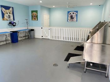 Pet wash & grooming area