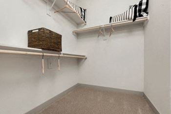 Large closet view