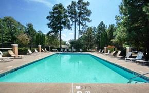 College Park apartment for rent - A large swimming pool surrounded by trees and lounge chairs.