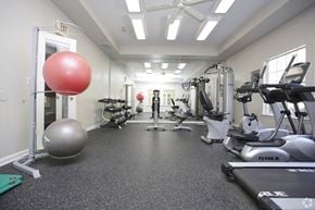 College Park apartment for rent - A gym with a variety of equipment including treadmills, weights, and exercise balls.