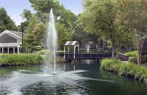Memphis apartment for rent - A fountain in the middle of a pond surrounded by greenery.