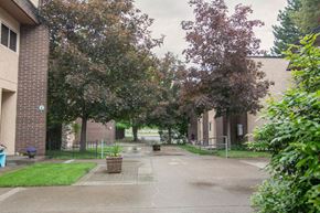Missoula apartment for rent - an empty street with trees in front of a building