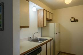 Missoula apartment for rent - a kitchen with a sink and a refrigerator