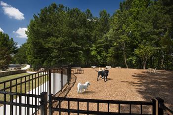 Nature trails with a dog park