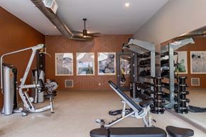 Willow Grove apartment for rent - the home gym has plenty of equipment including weights and cardio machines