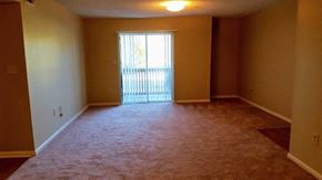 Statesboro apartment for rent - A room with a carpeted floor and a window with blinds.