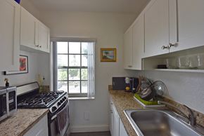 Miami Beach apartment for rent - a kitchen with a sink and a stove and a window