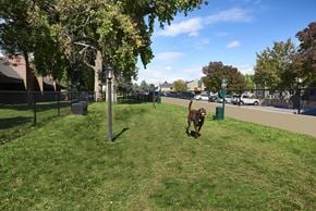 Lakewood apartment for rent - Large Dog Park at Sloan's Lake Apartments in Lakewood, CO, 80214