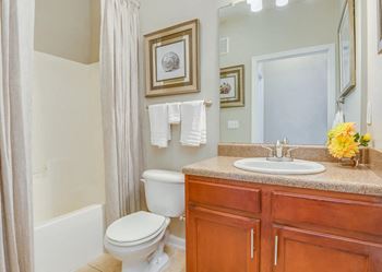 Luxurious bathroom