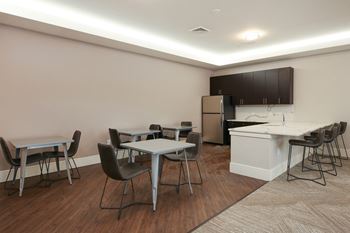 Lounge equipped with kitchen/bar