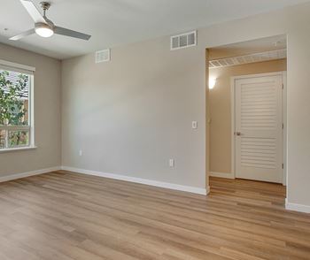 Luxury vinyl planking throughout every apartment!