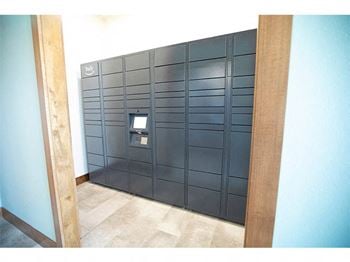 Luxor package locker