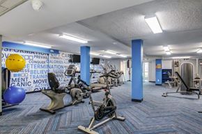 Norristown apartment for rent - a gym with cardio machines and weights at the courtyard
