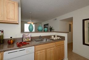 Miami apartment for rent - a kitchen with a sink and a dishwasher