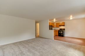 Norfolk apartment for rent - an empty living room with a kitchen in the background