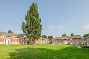 Lakewood apartment for rent - Green Outdoor Space at Virginia Park, Lakewood, CO