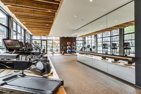 Alexandria apartment for rent - Fitness Center