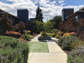 Los Gatos apartment for rent - Prodesse Property Group 16945 Roberts Road  Los Gatos, CA 95032