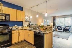 Chicago apartment for rent - Hardwood flooring