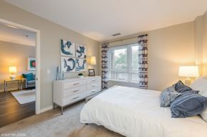 Chicago apartment for rent - Bright Bedroom