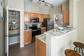 Lavista apartment for rent - A kitchen with wooden cabinets and a marble countertop.