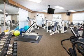 Lincoln apartment for rent - a gym with cardio machines and weights and a tv