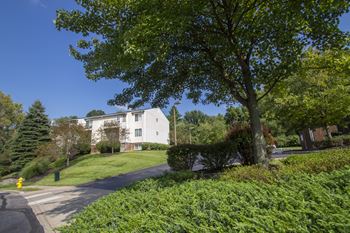 Wooded views*