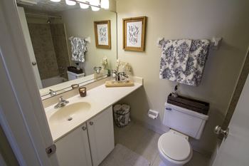Large vanity countertop in bathroom (1 bds)