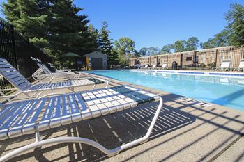 Sparkling swimming pool
