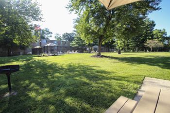 Bbq/picnic area